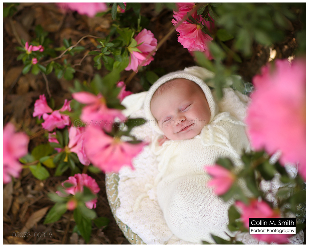 © Collin M. Smith Portrait Photography www.cmsmithportraits.com/blog